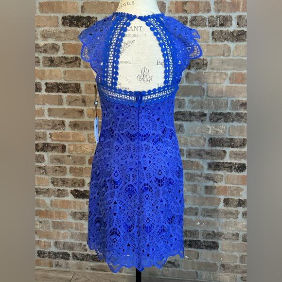 NEW $195 laundry by Shelli Segal geometric lace royal blue knee length dress s 2 - Picture 6 of 12